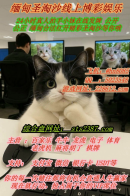 upload_2026-9-20_14-21-16.png